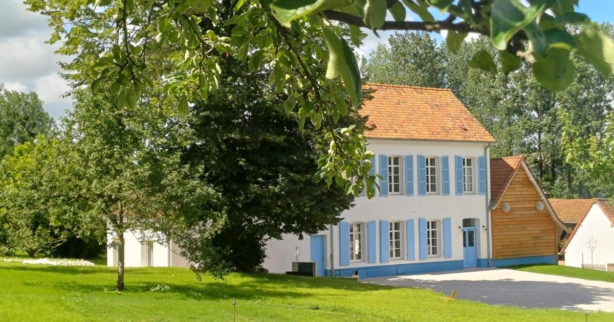 La Reinette des Prés