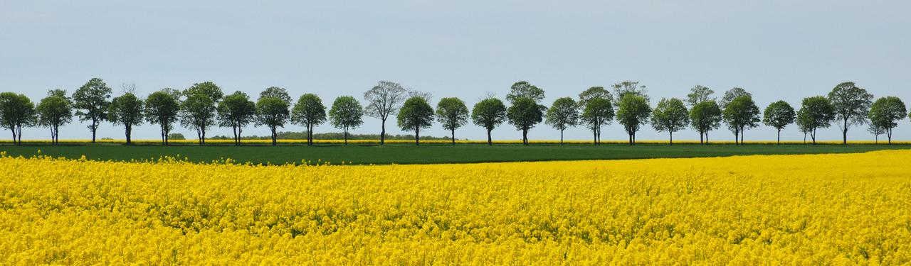  La vallée du Loir, véritable voie verte,