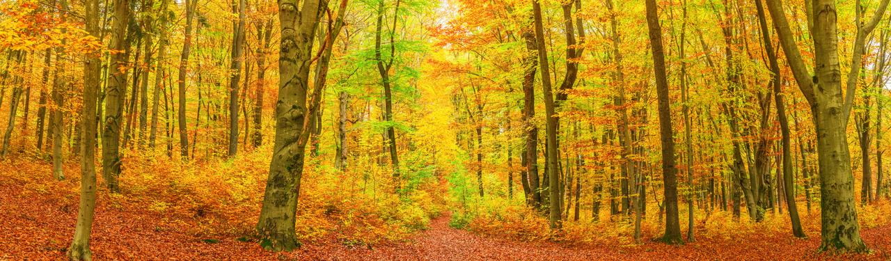 Vacances pas cher en novembre