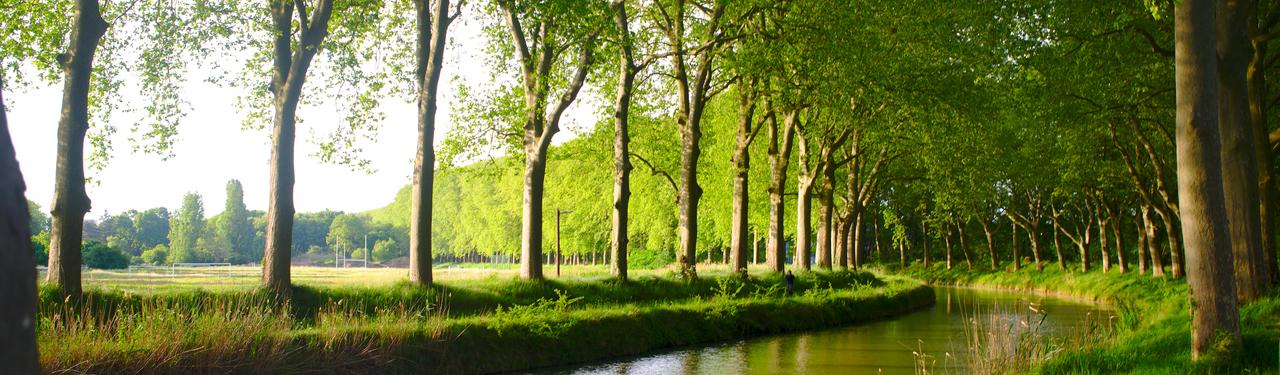 Canal du Midi Tarn et Aude