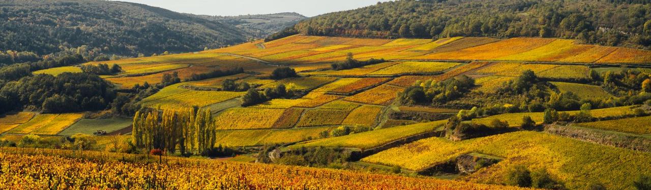 Côte d'or Chambres d'hôtes l'Orchoran