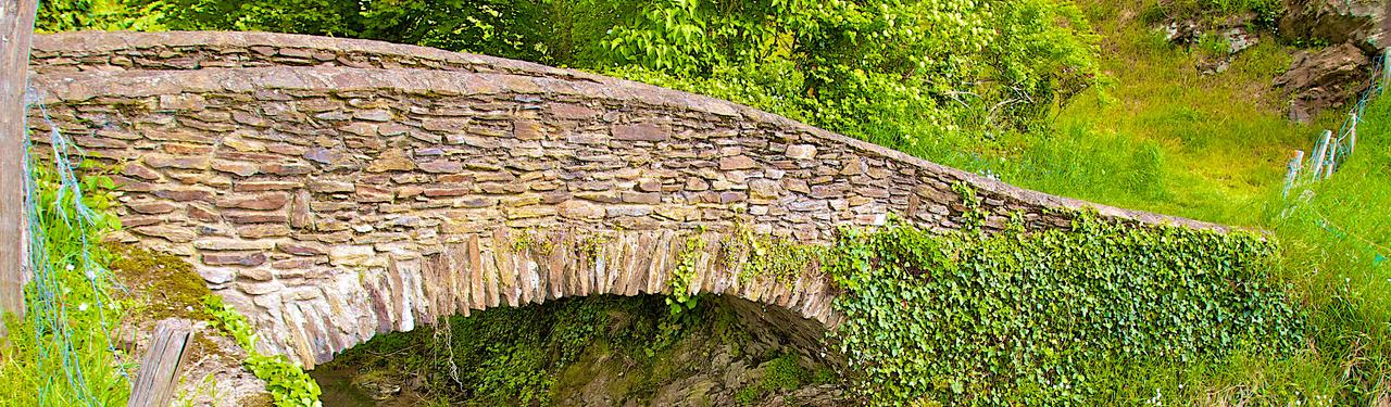PONT SAINT PAUL EN JAREZ