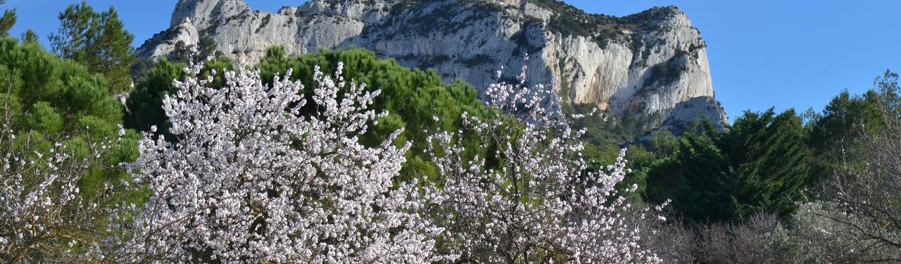 Vacances de Printemps en Provence-Alpes-Côte d'Azur