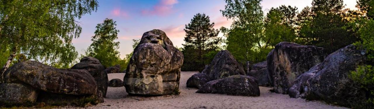 Forêt de Fontainebleau