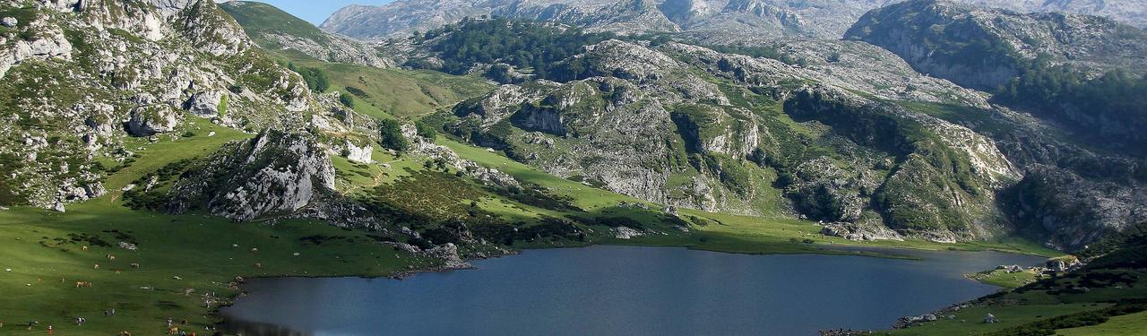 Parc des Pyrénées