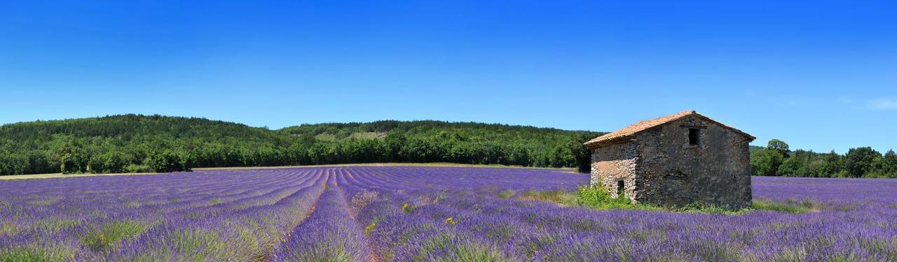 La Provence