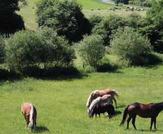 Une pause nature en Normandie