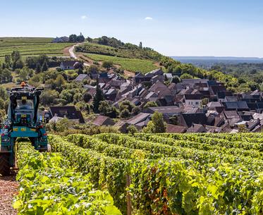 Destination Sancerre Pouilly Fumé ©SERGE EGARD