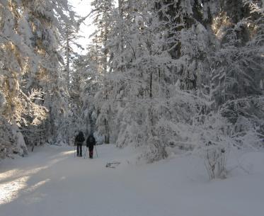 Ski dans la Drôme