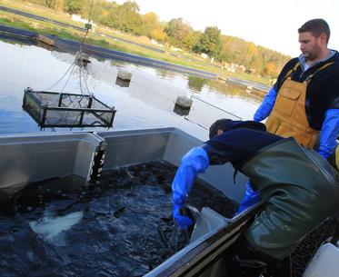 Visite du Domaine Caviar de Neuvic