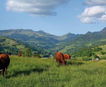Séjour randonnée au Parc naturel des volcans d'Auvergne 