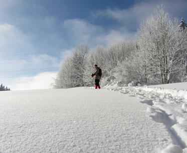 Skier dans l'Ain Ski alpin et nordique