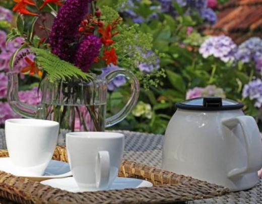 Que faire pendant un week-end à la campagne ?