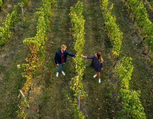 Vignobles de Fronton