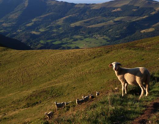 Le GR 400 la route du Cantal