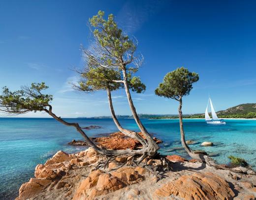 Plage de Palombaggia