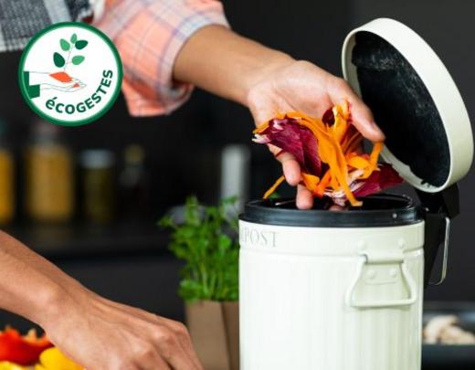 Ecogestes Voyager plus responsable