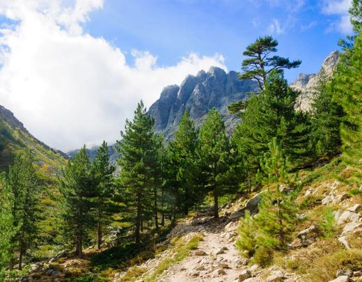 Gorges de la Restonica