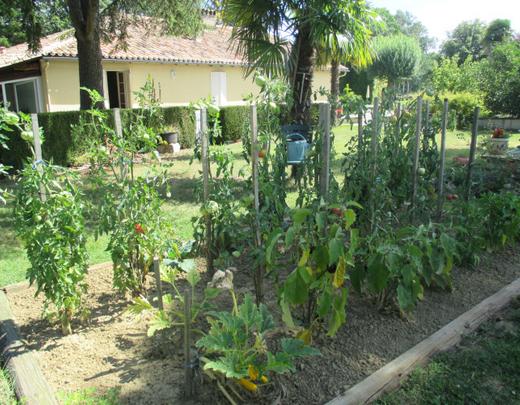 Le potager du domaine, riche en fruits et légumes