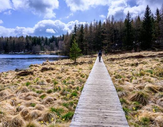 Lac charpal Margeride