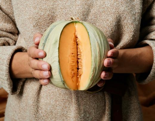 Le melon du Tarn-et-Garonne