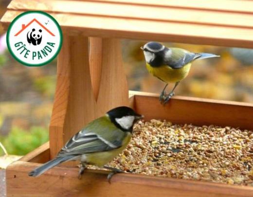 Les gîtes Panda WWF : au cœur des espaces naturels