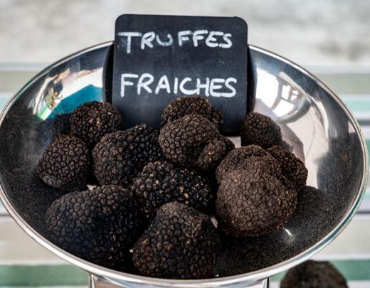 Truffes du Périgord, Dordogne