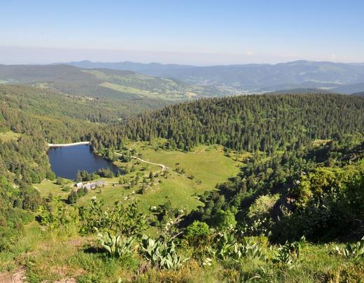 crête du Massif des Vosges