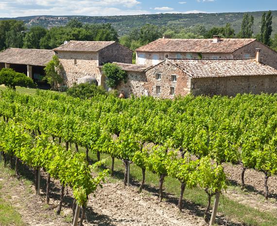 Œnotourisme Provence-Alpes-Côte d'Azur
