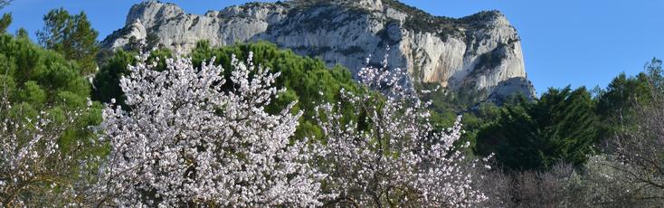 Vacances de Printemps en Provence-Alpes-Côte d'Azur