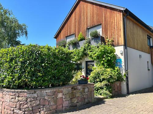 Le Sentier Des Vignes - Kintzheim