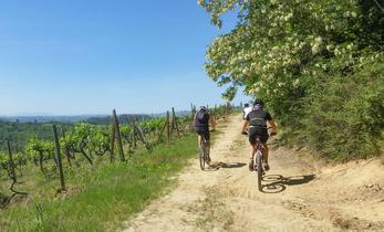 Locations de vacances et parcours VTT en Hérault