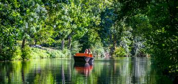 Parc Naturel Régional du Marais Poitevin