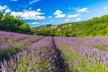 Séjour à la campagne en Provence-Alpes-Côte d'Azur