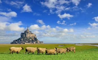 Vacances au Mont Saint Michel