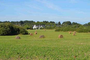 Séjour campagne Morbihan (Locmariaquer)