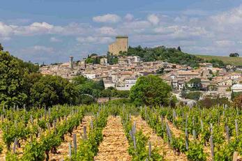 Châteauneuf-du-Pape et les domaines viticoles de prestige
