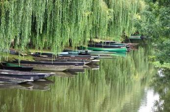 Marais Poitevin, Deux-Sèvres