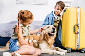 Locations de vacances acceptant les animaux
