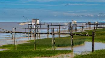 Locations vacances Estuaire de la Gironde