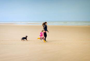 Locations de vacances acceptant les animaux dans le Finistère