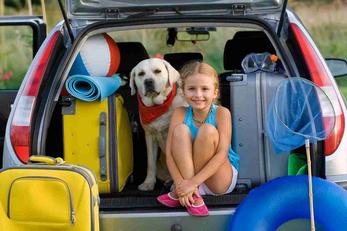 Locations vacances animal accepté dans l'Eure
