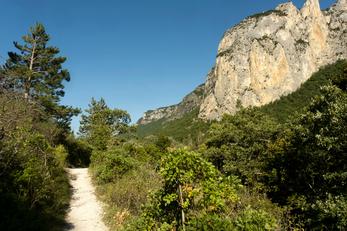 Forêt de Saoû, Drôme