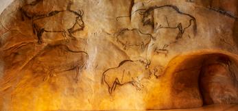 Visite de la grotte de niaux