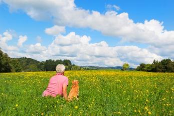 Idées séjours Locations avec animal accepté en Creuse