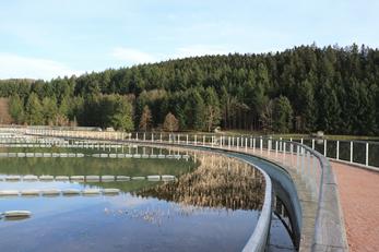 Lac des Sapins à Cublize, Rhône