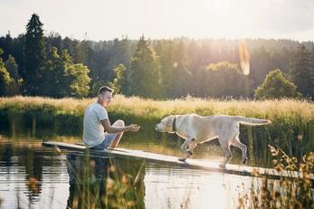 Locations vacances animaux acceptés dans les Deux-Sèvres