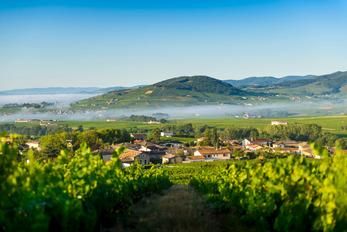 Mont Brouilly, Rhône