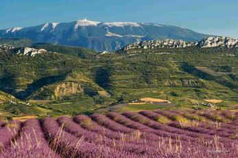 Mont Ventoux, Vaucluse