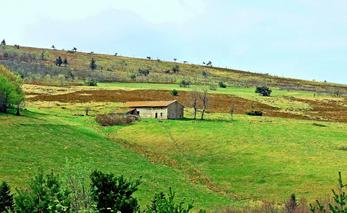 Les Monts du Forez, Loire